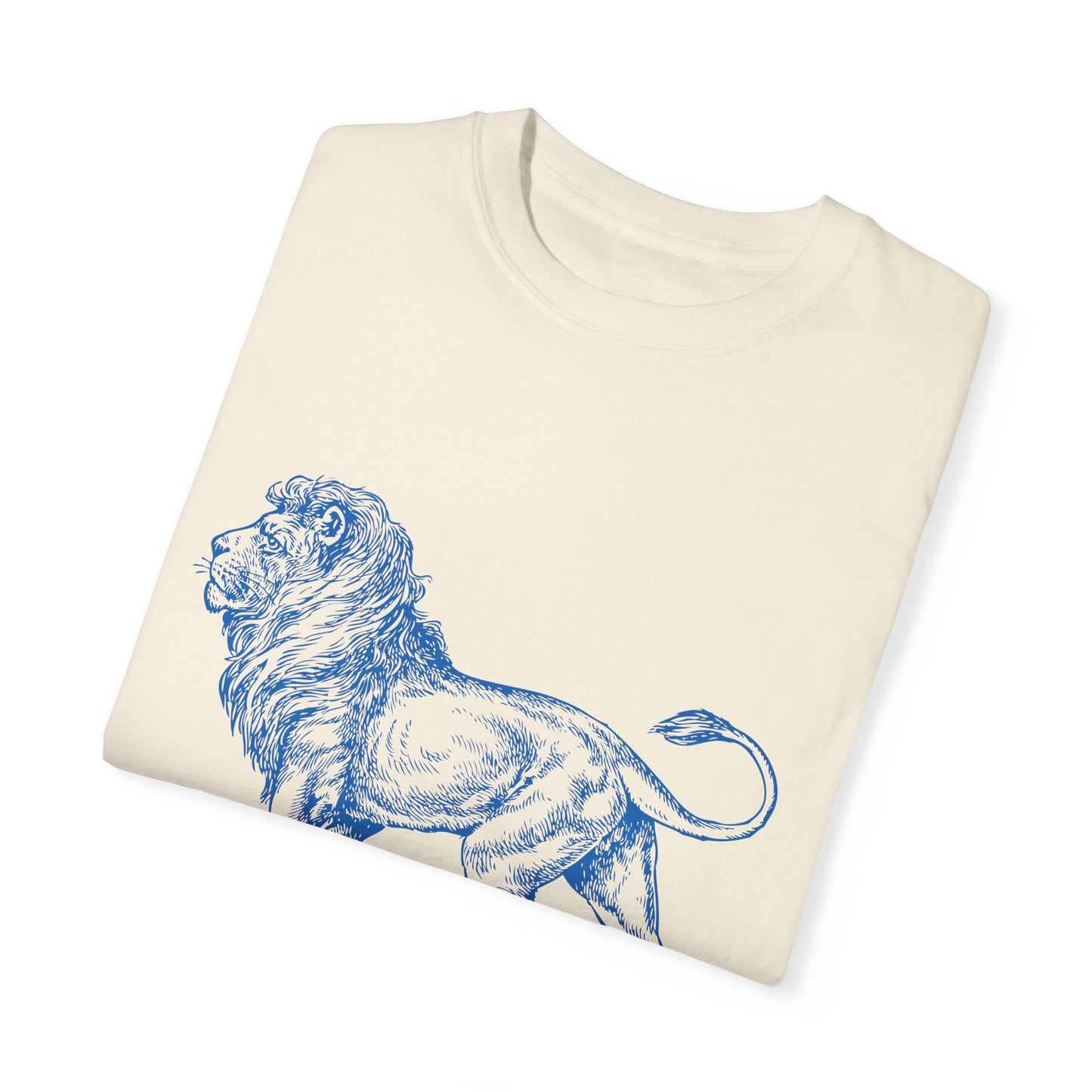 Chazak v'Amatz | Be strong and courageous!