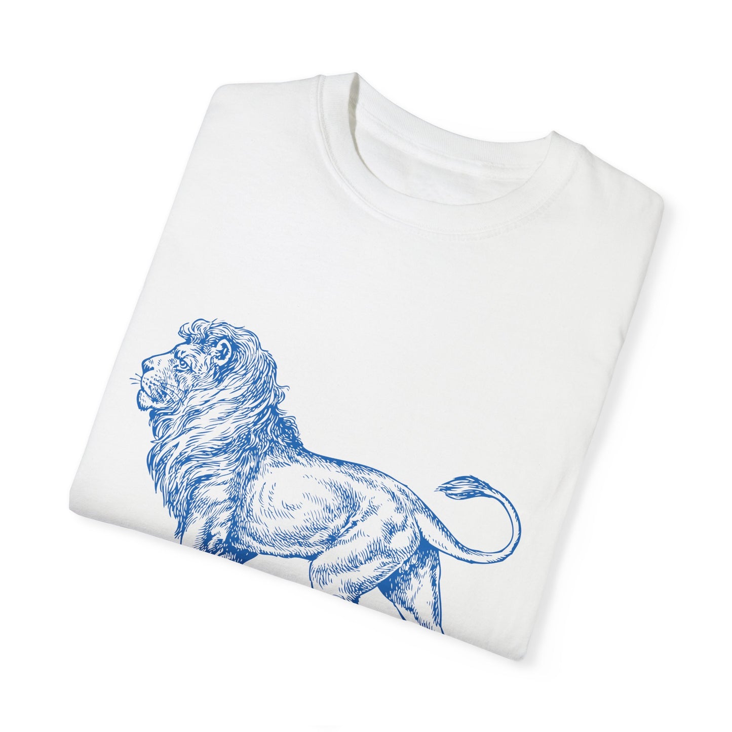 Chazak v'Amatz | Be strong and courageous!