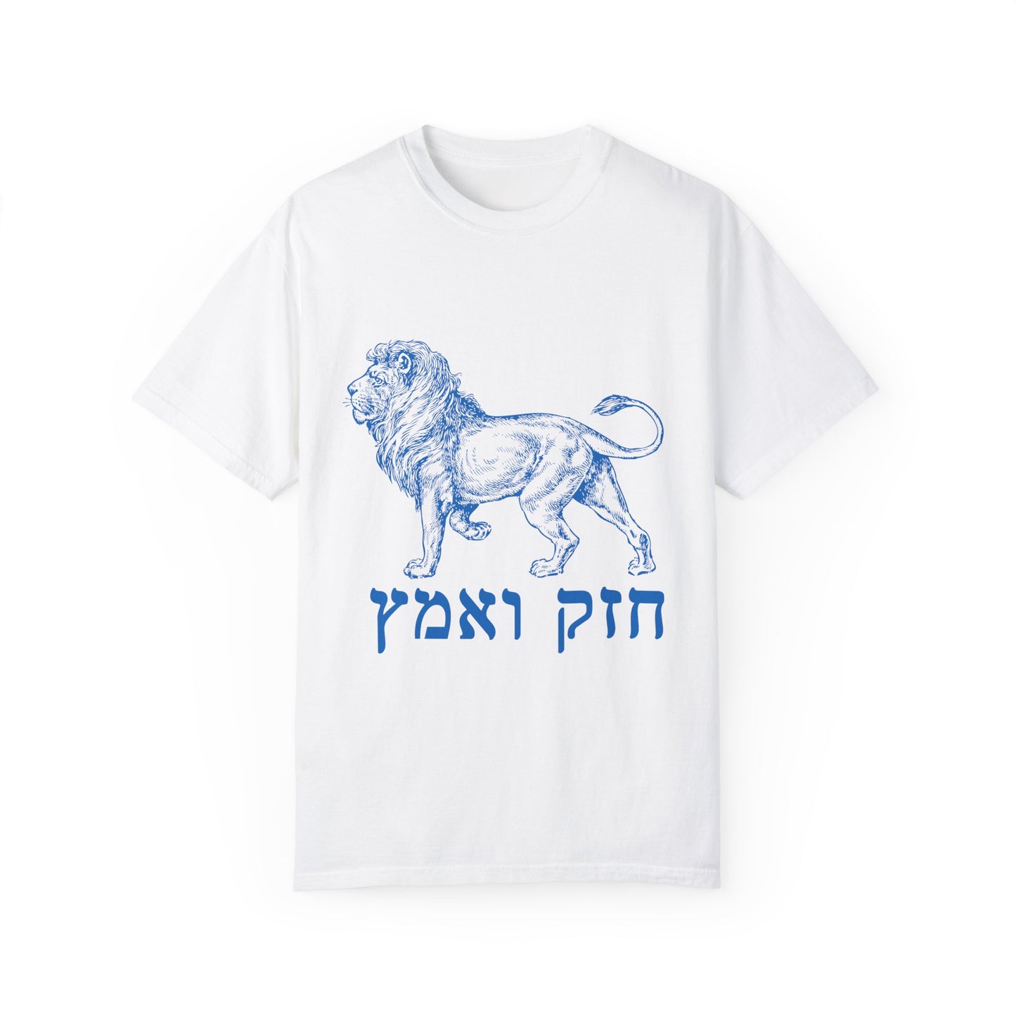 Chazak v'Amatz | Be strong and courageous!